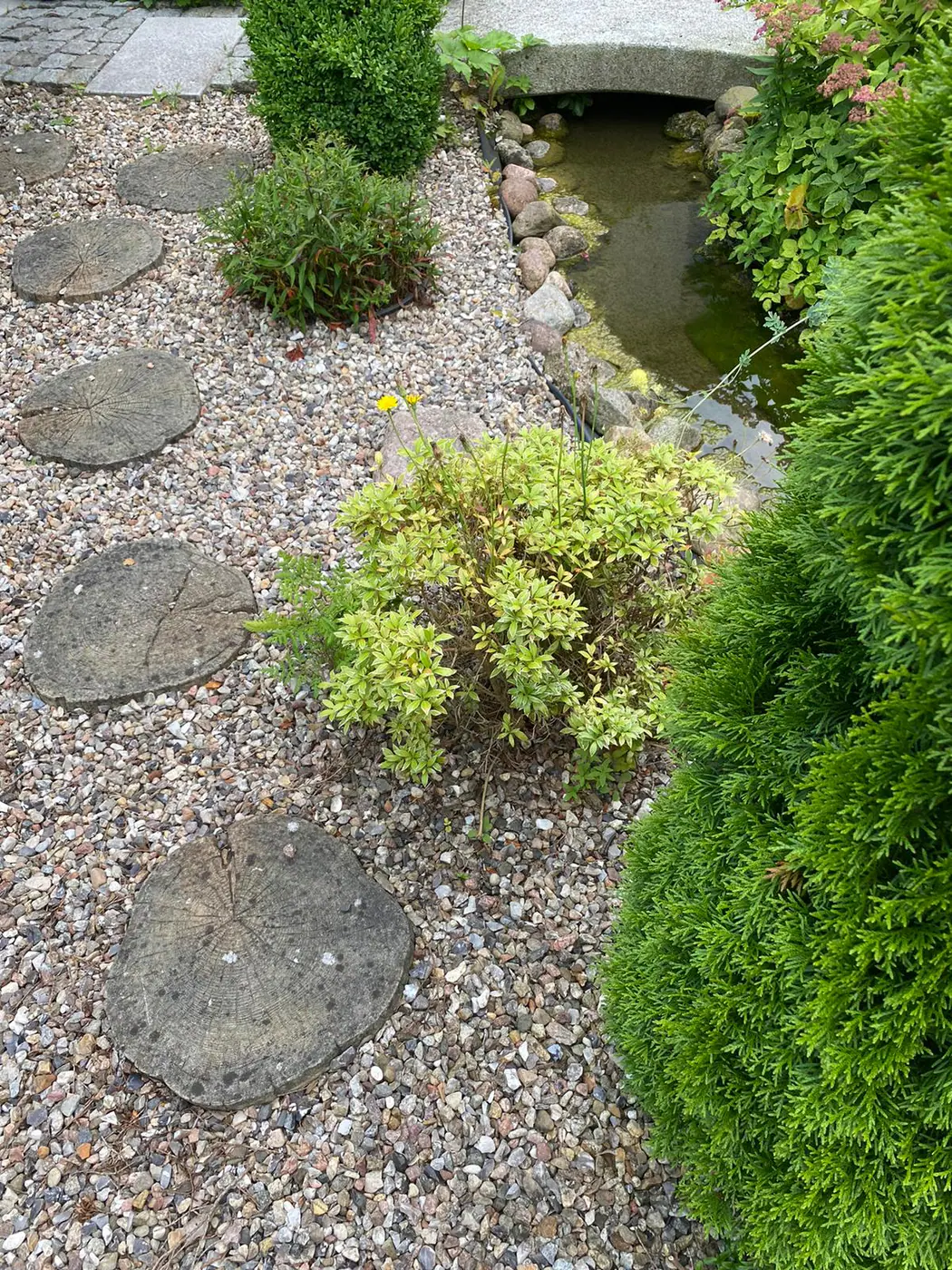 Garten- & Landschaftsbau – ausgeführtes Projekt 8