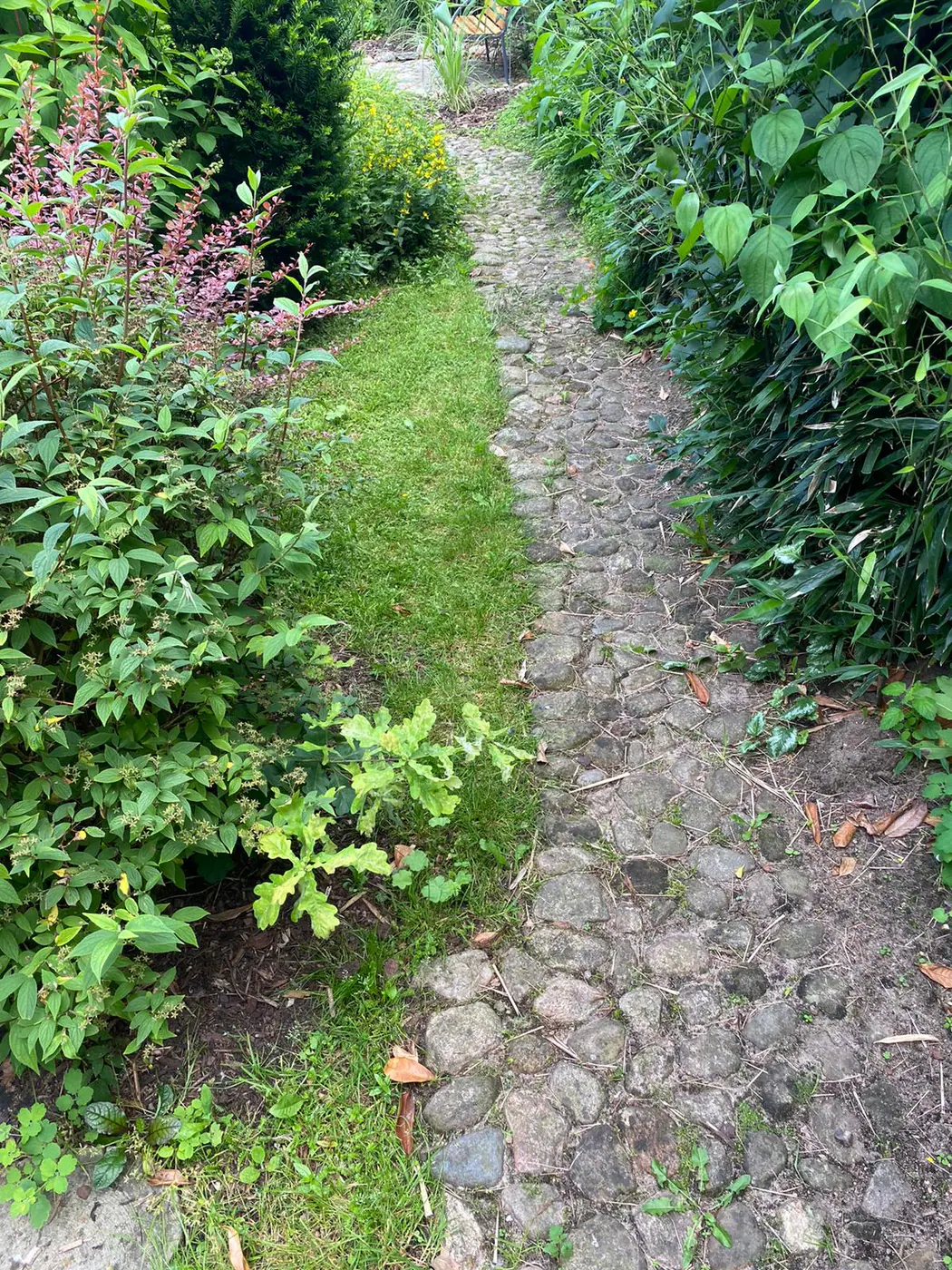 Garten- & Landschaftsbau – ausgeführtes Projekt 12